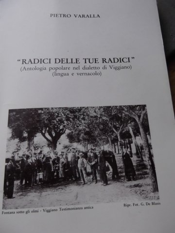radici delle tue radici